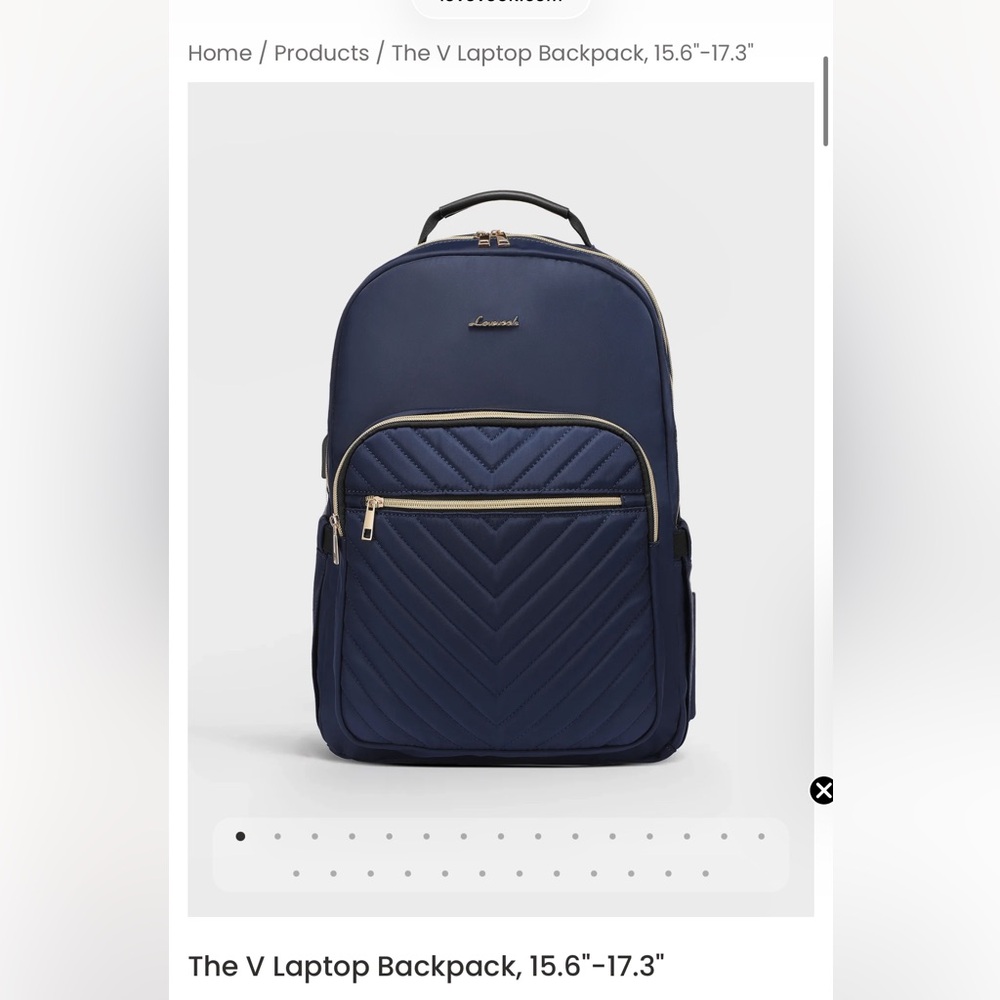 Lavie Elegant Navy Quilted Laptop Bag for Women